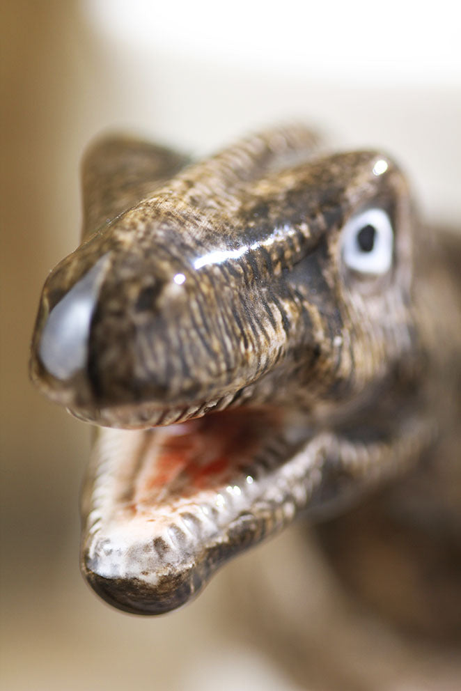 Hand-painted 3D Tyrannosaurus Mug 7oz