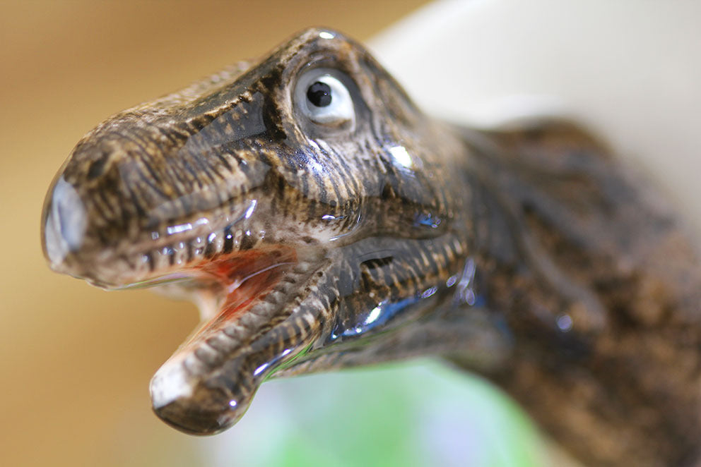 Hand-painted 3D Tyrannosaurus Mug 7oz