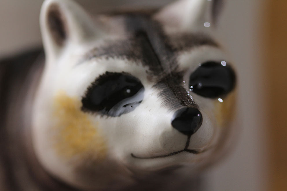 Hand-painted 3D Raccoon Mug 7oz