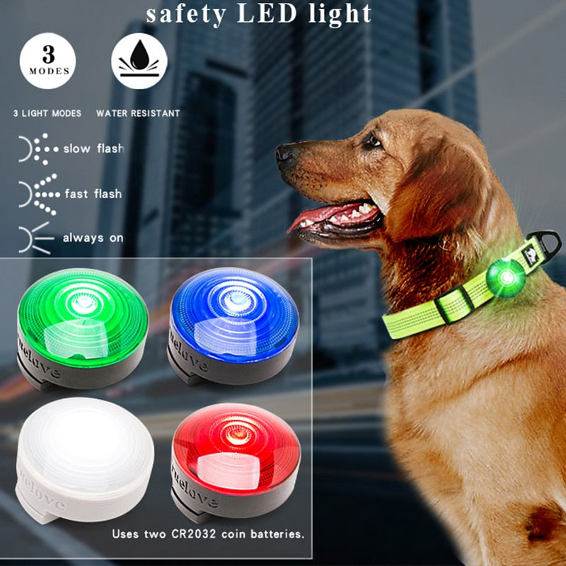 LED Pet Safety Light