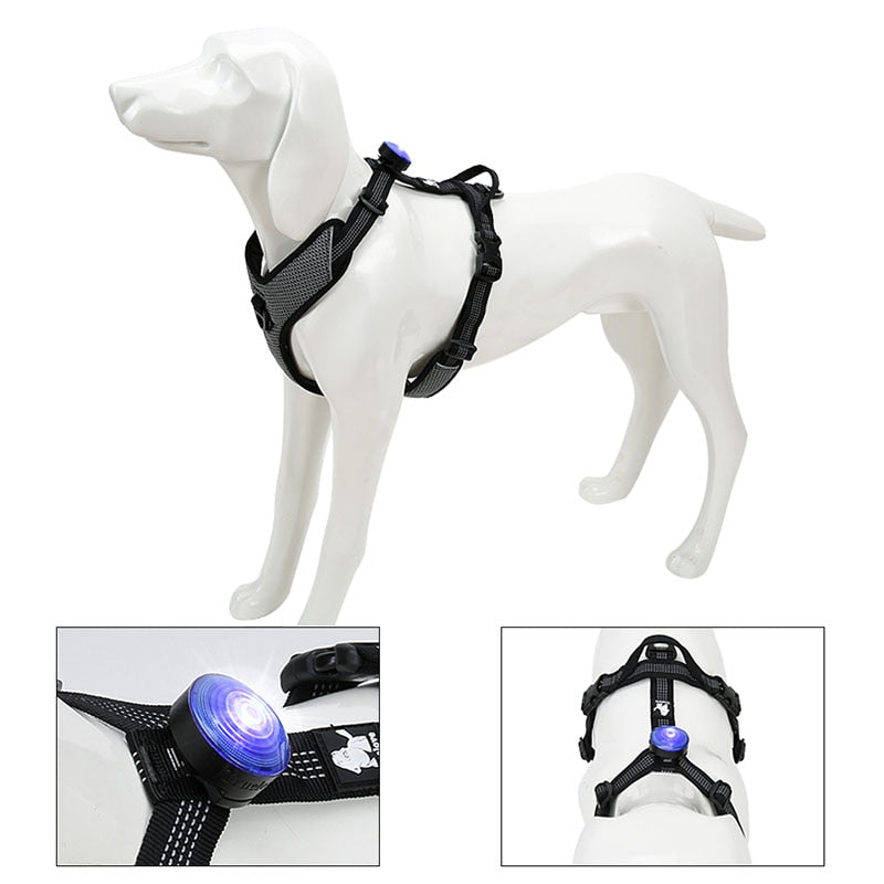 LED Pet Safety Light